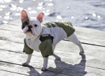 KARLIE Hundemantel TOUCHDOG OUTDOOR atmungsaktiv khaki für Hündinnen und Rüden