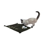 TRIXIE Spielzeug SPIELMATTE 4P mit Fransen 55x37cm...