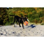 CHUCKIT Fussball KICK FETCH Nylon Kautschuk schwimmt für Hunde
