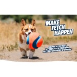 CHUCKIT Fussball KICK FETCH Nylon Kautschuk schwimmt für Hunde