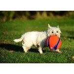 CHUCKIT Fussball KICK FETCH Nylon Kautschuk schwimmt für Hunde