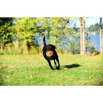 CHUCKIT Fussball KICK FETCH Nylon Kautschuk schwimmt für Hunde