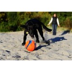 CHUCKIT Fussball KICK FETCH Nylon Kautschuk schwimmt für Hunde