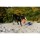 CHUCKIT Fussball KICK FETCH Nylon Kautschuk schwimmt für Hunde