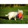 CHUCKIT Fussball KICK FETCH Nylon Kautschuk schwimmt für Hunde