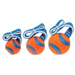 CHUCKIT Spielball ULTRA TUG mit Handschlaufe Kautschuk...