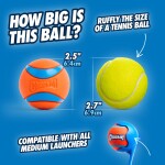 CHUCKIT Spielball ULTRA BALL Kautschuk extrem robust schwimmt für Hunde