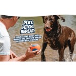CHUCKIT Spielball ULTRA BALL Ø 9cm XL Kautschuk extrem robust für Hunde