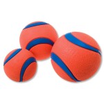CHUCKIT Spielball ULTRA BALL Ø 10cm XXL Kautschuk extrem robust für Hunde