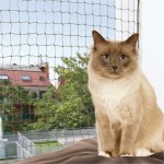 TRIXIE Nylon SCHUTZNETZ drahtverstärkt 4 x 3m...