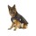 KARLIE Hundemantel OUTDOOR 2 in1 schwarz herausknöpfbares Innenfutter 26cm