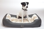 DOGIUS Wechseldecke KURZHAAR Größe S 40x72 cm für Hunde