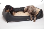 DOGIUS Wechseldecke KURZHAAR Größe XL 64x121 cm für Hunde