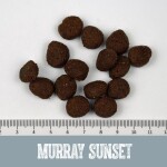 BLACK CANYON Trockenfutter MURRAY SUNSET SENIOR LIGHT Truthahn Lachs für Hunde