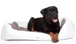 DOGIUS Wechseldecke FELL LUX Größe S 40x72 cm für Hunde