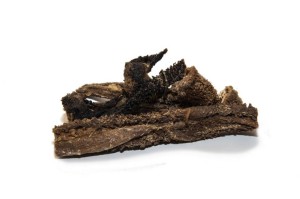 DIANA Kauartikel LAMM-PANSEN getrocknet 500g für Hunde