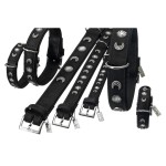 KARLIE Lederhalsband Buffalo Deco mit Mond 30cm 24mm...