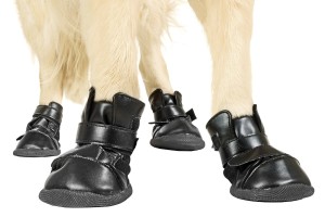 KARLIE Hundeschuhe XTREME BOOTS in verschiedenen Größen