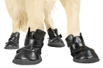 KARLIE Hundeschuhe XTREME BOOTS in verschiedenen...