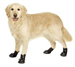 KARLIE Hundeschuhe XTREME BOOTS in verschiedenen...