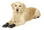 KARLIE Hundeschuhe XTREME BOOTS in verschiedenen Größen