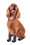 KARLIE Hundesocken DOGGY SOCKS AntiSlip schwarz-grau