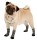 KARLIE Hundesocken DOGGY SOCKS AntiSlip schwarz-grau