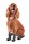 KARLIE Hundesocken DOGGY SOCKS AntiSlip schwarz-grau