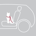 TRIXIE Transport Auto-Geschirr + Anschnallgurt...