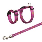 TRIXIE Geschirr MEERSCHWEINCHENGESCHIRR mit Leine Nylon 21-35 cm für Kleintiere