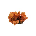 TRIXIE Dekoration Fingerkoralle 12 cm naturnahe...