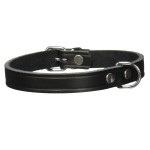 TRIXIE Halsband Basic S 28-34 cm/14 mm Leder schwarz...