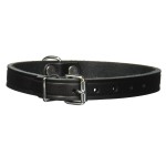 TRIXIE Halsband Basic S 28-34 cm/14 mm Leder schwarz für Hunde
