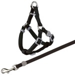 TRIXIE Zubehör GESCHIRR mit Leine Nylon 26-37 cm/10...