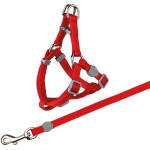TRIXIE Zubehör GESCHIRR mit Leine Nylon 26-37 cm/10 mm 1,20 m für Katzen
