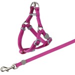 TRIXIE Zubehör GESCHIRR mit Leine Nylon 26-37 cm/10 mm 1,20 m für Katzen