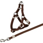 TRIXIE Zubehör GESCHIRR mit Leine Nylon 26-37 cm/10 mm 1,20 m für Katzen