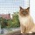 TRIXIE Nylon SCHUTZNETZ drahtverstärkt 8 x 3m olivgrün für Katzen