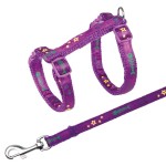 TRIXIE Geschirr mit Leine Motivband Nylon 22-36 cm 10 mm...