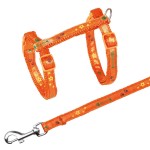 TRIXIE Geschirr mit Leine Motivband Nylon 22-36 cm 10 mm 1,20 m für Katzen