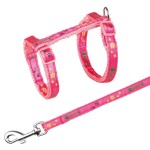 TRIXIE Geschirr mit Leine Motivband Nylon 22-36 cm 10 mm 1,20 m für Katzen