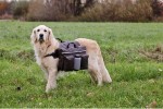 KARLIE Satteltaschen AUTHENTIC DOG SPORT inklusive...