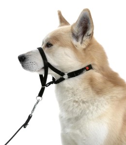 KARLIE Erziehungshilfe MASTER CONTROL Erziehung und Kontrolle für Hunde