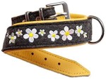 KARLIE Halsband SOLEIL Filz/Leder 55cm 35mm anthrazit/gelb unterlegt für Hunde