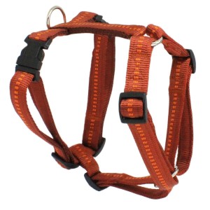 KOCH Geschirr NYLONGESCHIRR mit Kennfäden 20mm 45-60cm Farbe Kupfer für Hunde