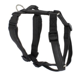KOCH Geschirr NYLON-GESCHIRR UNI 25mm 80-115cm Farbe Schwarz gepolstert für Hunde