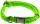 DINOLEINE Halsband KLICK-HALSBAND Polyester 8mm Größe S/30-45cm Hunde Neongrün