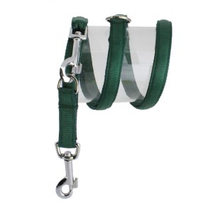 KOCH Leine NYLONLEINE UNI verstellbar gepolstert 25mm 300cm Farbe Grün für Hunde