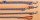 TRIXIE Leine Modern Art PAWS M-L 1,00 m/20 mm orange Nylon für Hunde