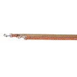 TRIXIE Leine Modern V-LEINE MOJAVE L-XL 2,00 m/25 mm...